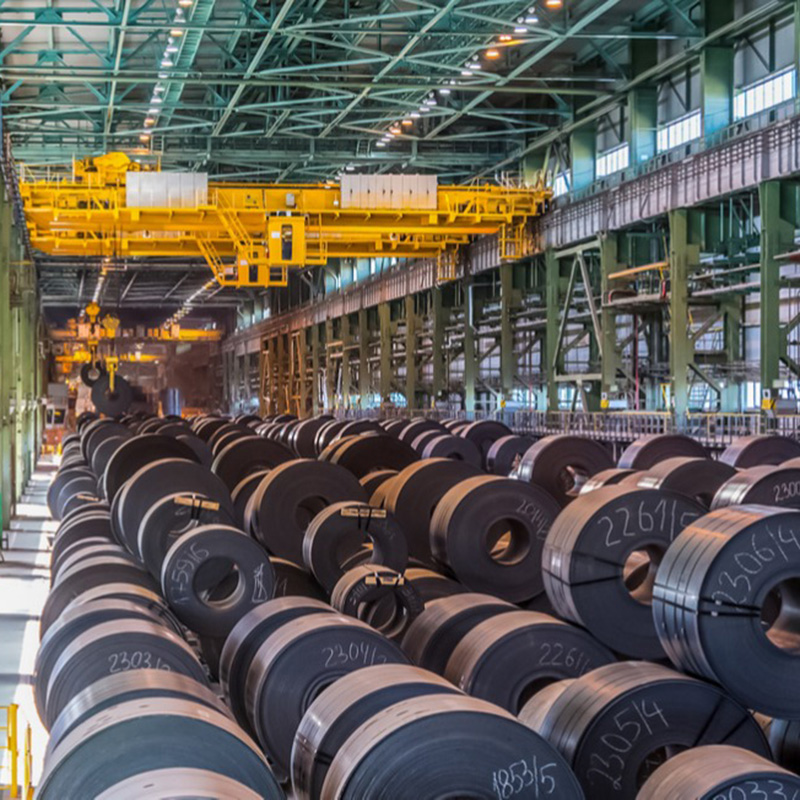 Steel Coil & Coated Strip